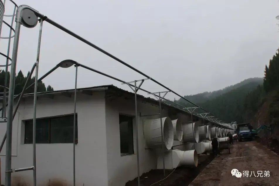 Prašičje farma smrdi. Tudi prašiči tega ne prenesejo. Kaj pa, če vedno zbolijo?