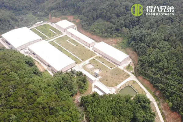 ãSistem tekočega krmljenjaãGuangdong Zhaoqing 20000 pitanje 10000 farma prašičev za odstavitev.