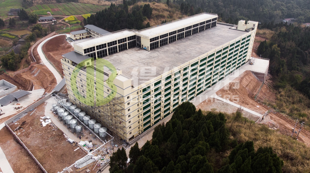 Kako izboljšati kakovost okolja v sodobni zasnovi prašičjih farm