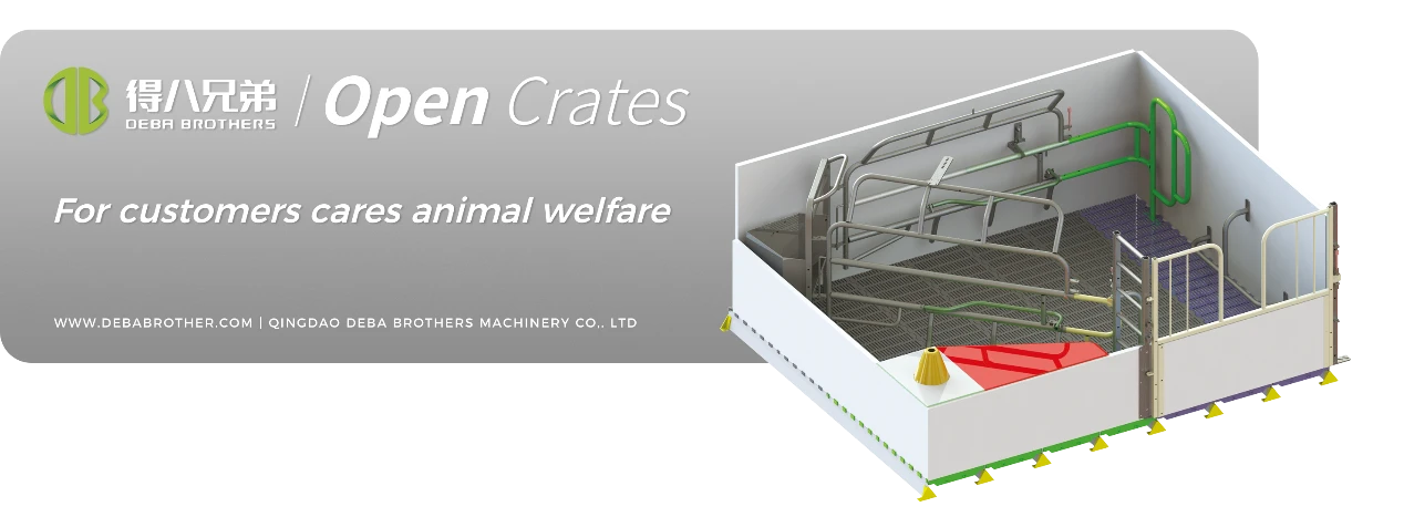 Odprta postelja za svinje DEBA Brothers je bila po vsem svetu prepoznavna po svoji uporabniku prijazni zasnovi