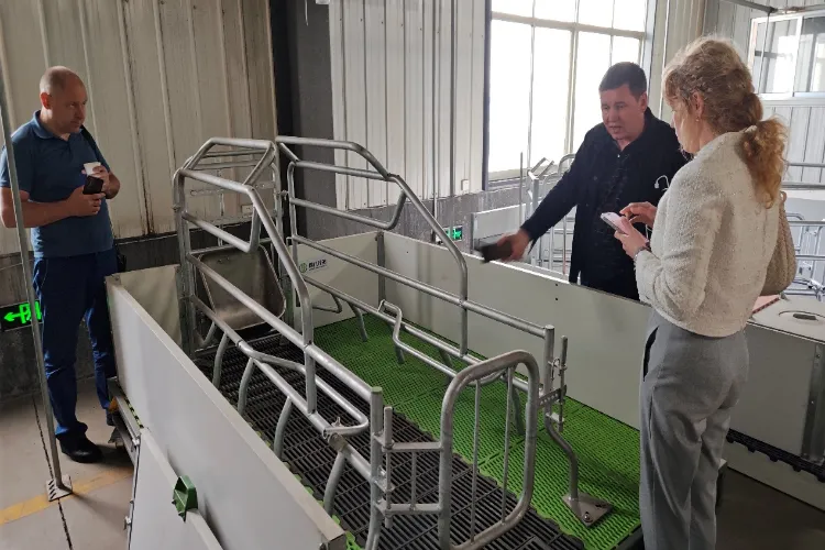 Obiski vzhodnoevropskih strank za sprejemni pregled na kraju samem pred odpremo