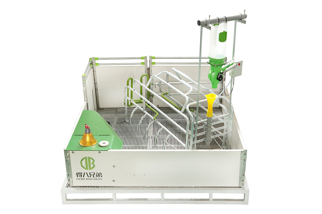 Prasilnica WELSAFE za prasitvene svinje - Osredotočenost na dobro počutje živali