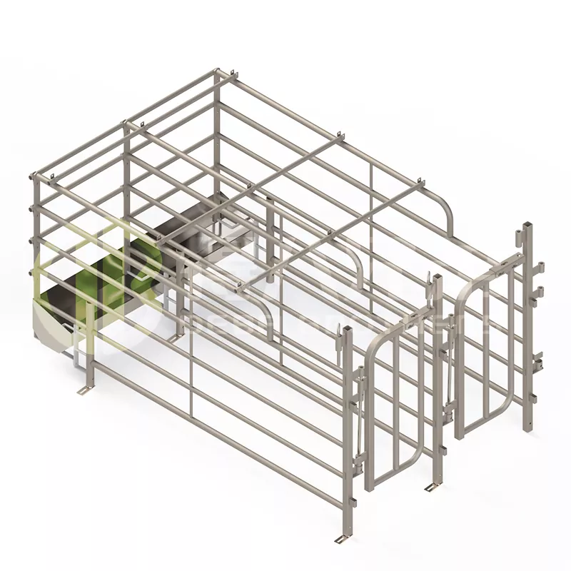 Širše španske stojnice za prašiče s prostim dostopom